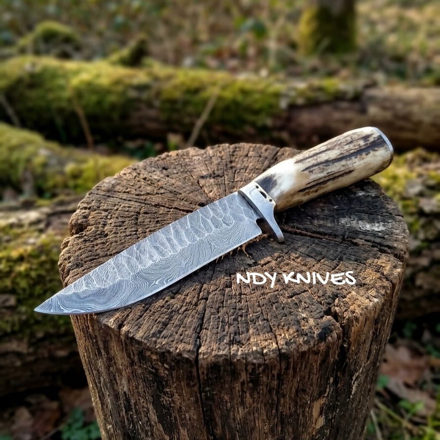 13" Hand-Forged Damascus Steel Bowie Knife – Full-Tang Exhibition Hunting Blade with Authentic Stag Horn Handle & Premium Leather Sheath