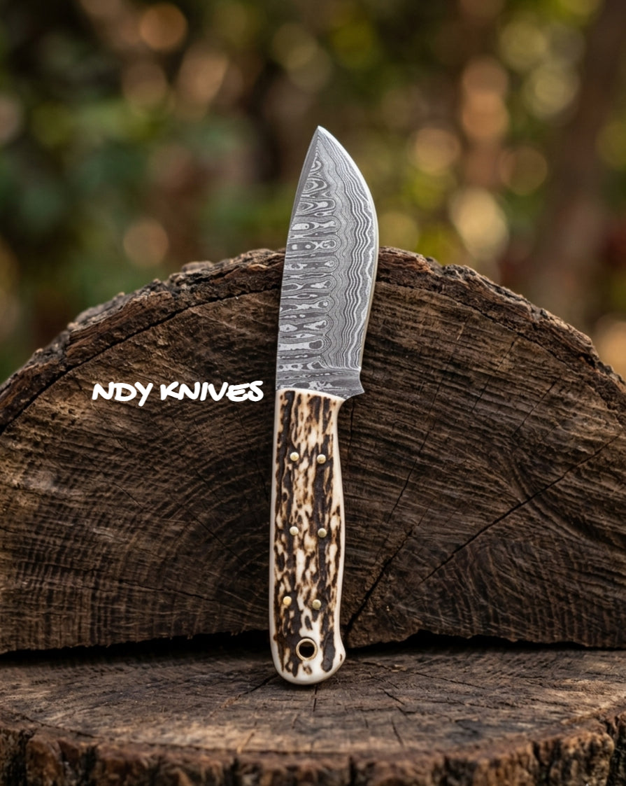 8" Hand-Forged Damascus Steel Skinner Knife – Professional Field Blade with Authentic Stag Horn Handle & Leather Sheath
