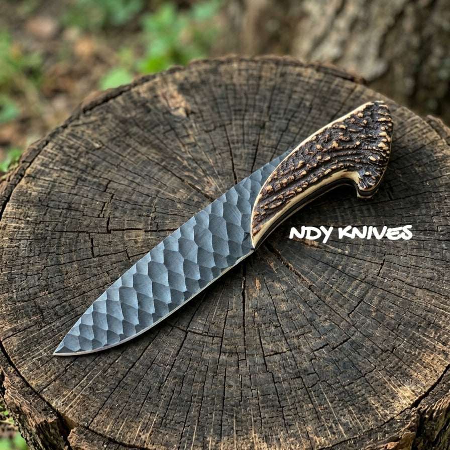 10" Custom High Carbon Steel Hunting Knife – Hand-Forged Fixed Filed Blade & Authentic Stag Horn Crown Handle