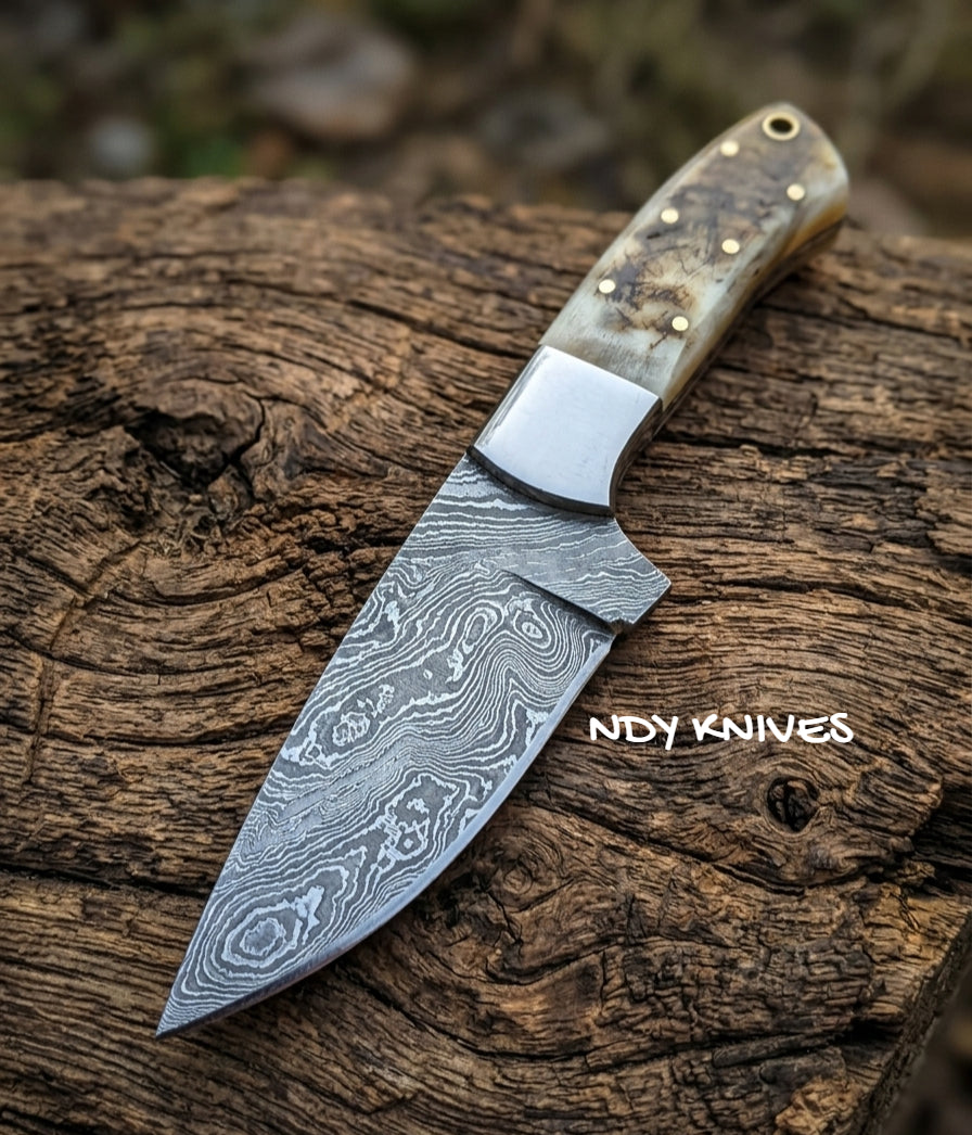 8" Hand-Forged Damascus Steel Skinner Knife – Full-Tang Fixed Blade Hunting Knife with Authentic Ram Horn Handle