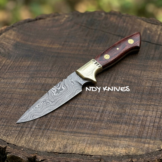 8" Hand-Forged Damascus Steel Skinner Knife – Full-Tang Fixed Blade Hunting Knife with Premium Pakkawood Handle & Polished Brass Bolsters